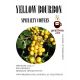 BRASIL BOURBON YELLOW 200G SPECIALITY