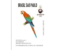BRASIL  SAO PAULO