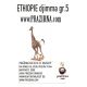 ETHIOPIE DJIMMA 16/17 0,5 kg